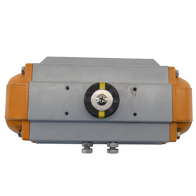 PT250-S20-D