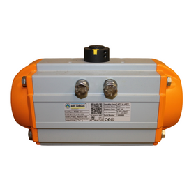 PT300-S22-F