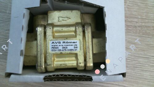 EGV-100-A78-3/4BN-01 Електромагнітний клапан для шматка-2/2-ходовий