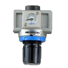 NR-300-03-NPT-PG-05-L2