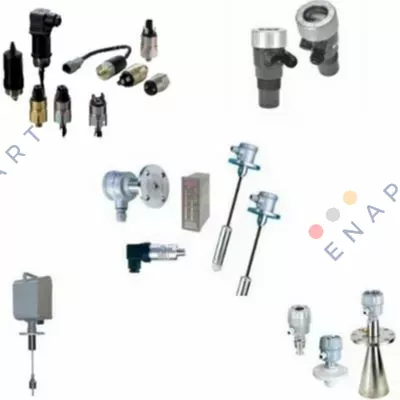 SE3810ECRH3000 Кінцевий вимикач поворотного лопателя