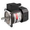 Motors with Terminal Box