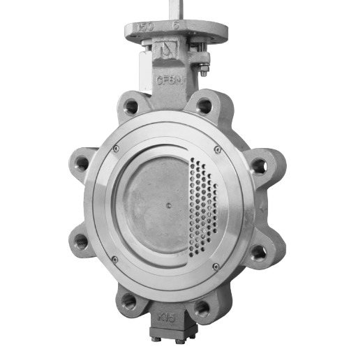 C61 – CLASS 300 – ANSI LUG