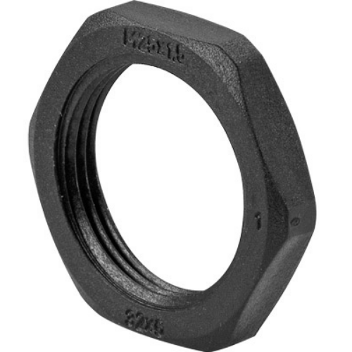 010DPG11