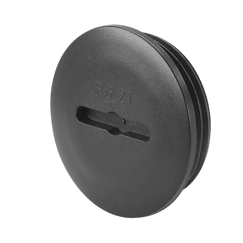 Thermoplastic hole plugs