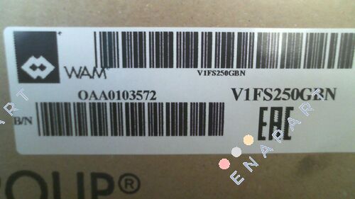 V1FS250GBN дросельний клапан