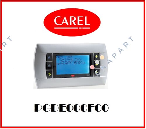 PGDE000F00