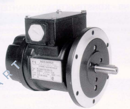 REO444R1S0,06EG (11MM)